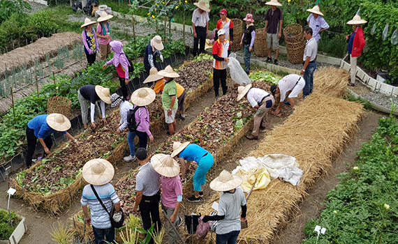 居民「集力共做」大福新生農園獲台灣景觀大獎傑出獎 