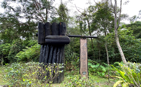 拳頭姆山幼兒級簡易步道 老少咸宜輕鬆走