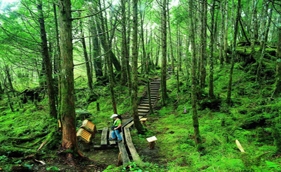 方便遊客欣賞日出 太平山每週六凌晨2點半開園