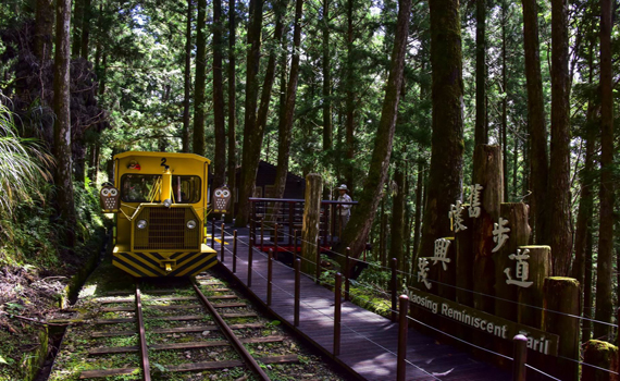 軌道邊坡崩塌已修復 太平山蹦蹦車7月10日全線復駛