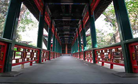 「升官」「發財」跟我來?