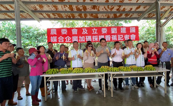 秋冬香蕉Q彈風味更佳　劉建國行銷雲林優質香蕉 
