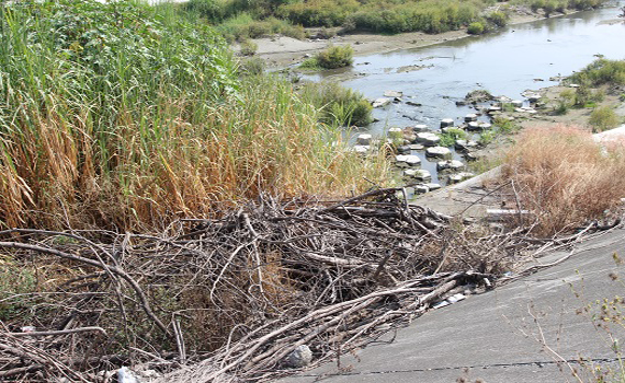 觀傳媒 雲嘉南新聞 石牛溪北銘堤防雜草叢生地方促五河局清理整修 觀傳媒 雲嘉南新聞 石牛溪北銘堤防雜草叢生地方促五河局清理整修