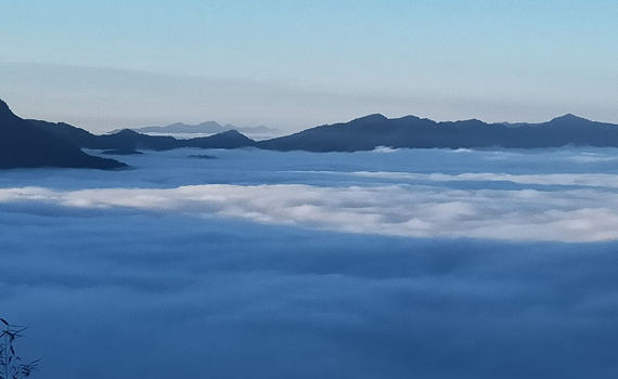 賞夕陽、看雲海　嘉義配合博茶會推限定行程 