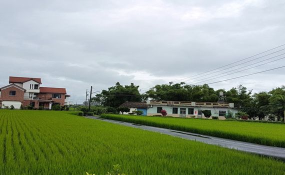 議員促非都容積、建蔽率恢復中央標準 林姿妙:將通盤檢討