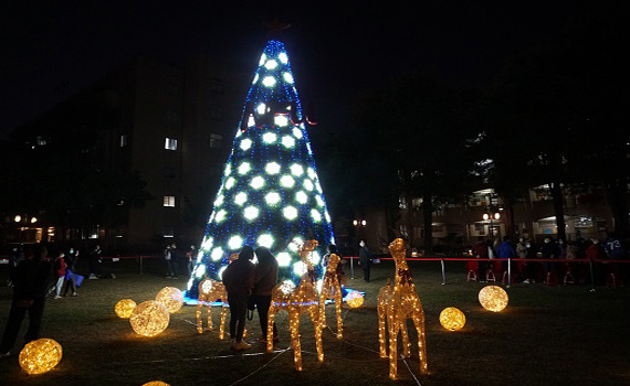 虎科大浪漫聖誕樹點燈　營造溫馨佳節氛圍 