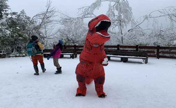 寒流一波接一波 【太平山追雪懶人包】一次掌握全般狀況