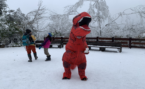 寒流一波接一波 【太平山追雪懶人包】一次掌握全般狀況 