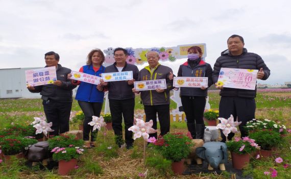 花漾和美周六登場 14公頃大波斯菊現美麗花海