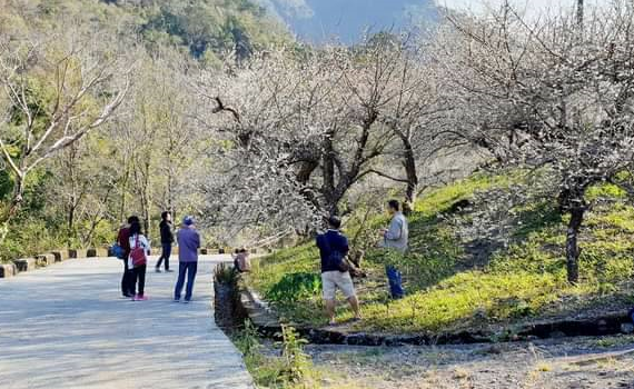 夯假日／東高雄秘境小旅行　戶外探險樂活報你知 