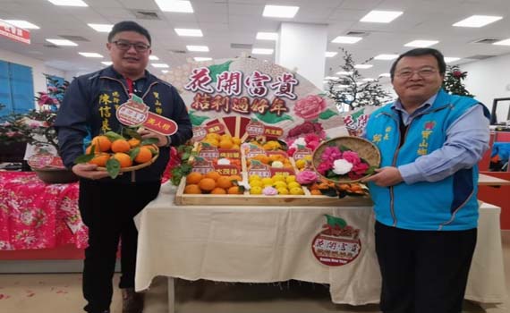 寶山鄉茶花柑橘展售23日登場 一千株茶花苗免費送