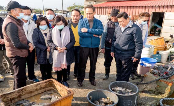 寒流持續低溫不斷壯圍龍虎斑「凍」未條！林姿妙現勘爭取中央救助 