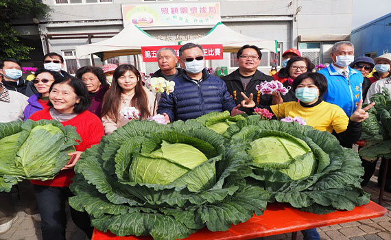 航道下培育出的高麗菜 第五屆澎湖新高麗菜王得主出爐