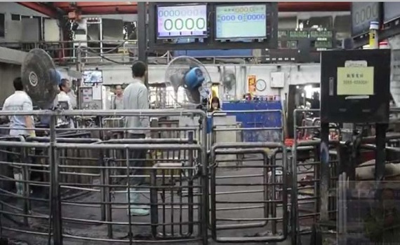 張麗善籲中央支持雲嘉同步 打造肉品市場符合國際化