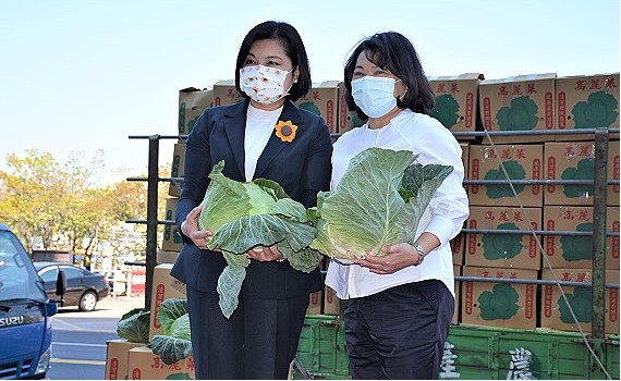 力挺國產高麗菜 嘉市各界響應採購2萬公斤