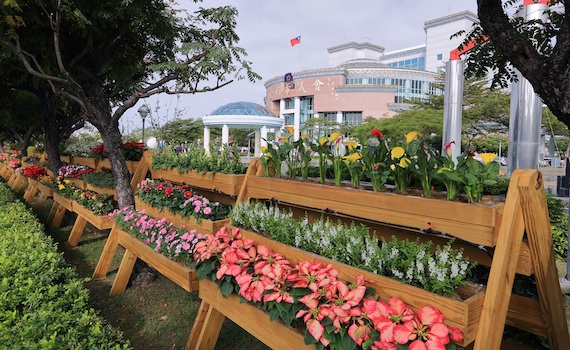 愛花人士注意!台南市議會這兩天開放民眾免費拿盆花