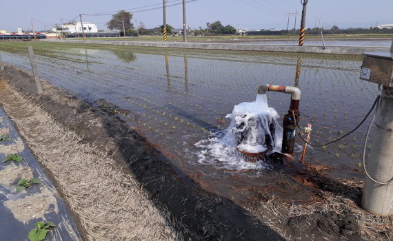 影/天不下雨 春耕喊渴 農民抽取地下水趕插秧