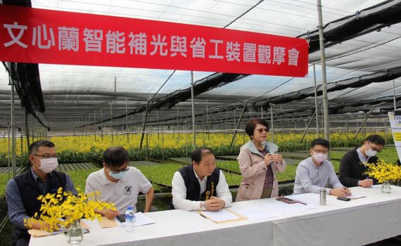 臺中區農改場開發智能補光 文心蘭A級切花產量提升5成