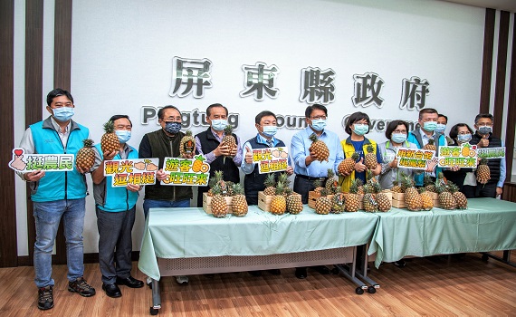 屏縣府成立鳳梨銷售平台分流訂購 觀光業逗相挺遊客旺旺來
