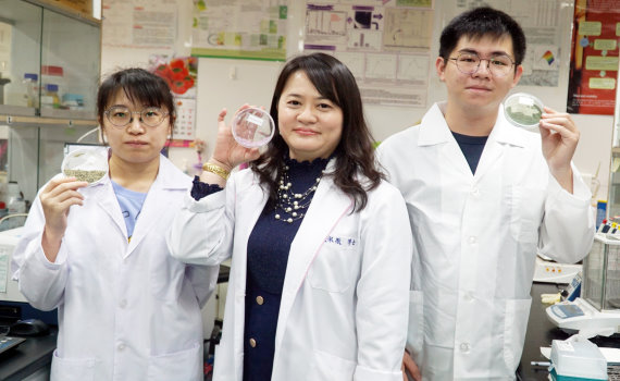 大葉大學藥保系張淑微獲科技部補助 開發海藻附加價值
