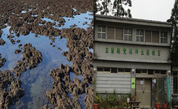 中心價值vs雙重標準