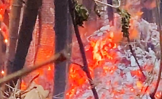 直擊/《高雄火燒山》警消搶救飽受「黑蚊叮咬+穿越刺竹惡地」 民怨:搶救不易 放火者落跑真缺德