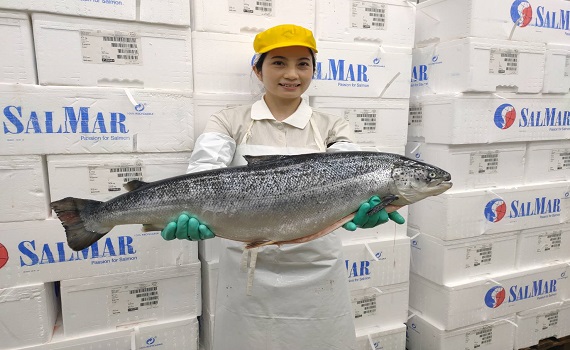 「鮭魚」們親訪口湖台灣鯛 免費送整尾大鮭魚