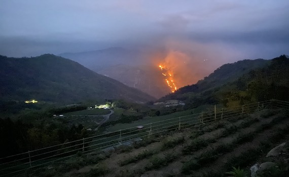 大阿里山區又驚傳山林火災