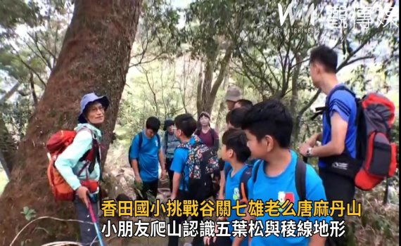 影/山野教育 香田小朋友爬山認識五葉松與稜線地形