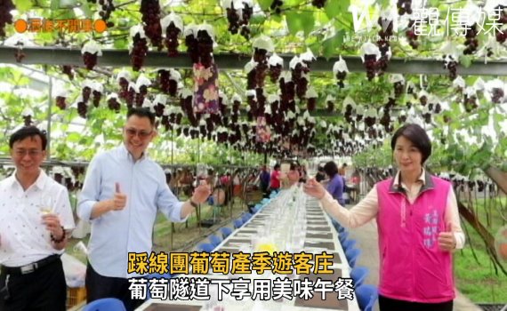 影/踩線團葡萄產季遊客庄 葡萄隧道下享美味午餐