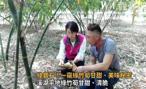 影/想吃新鮮美味綠竹筍 溪湖平地生產甘甜清脆如水梨