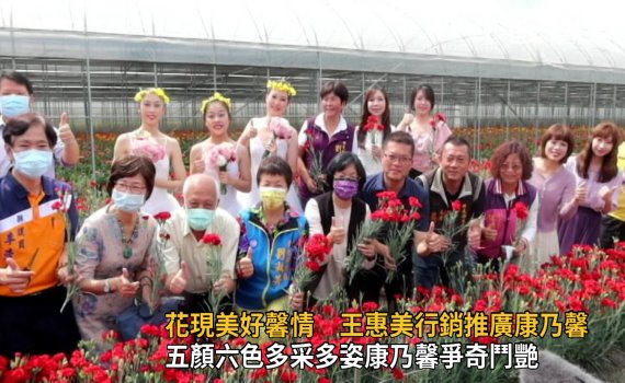 影/缺雨水 花現美好馨情王惠美行銷推廣康乃馨