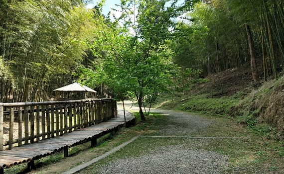 草嶺石壁抗空污森呼吸　打造雲林森林療育基地 