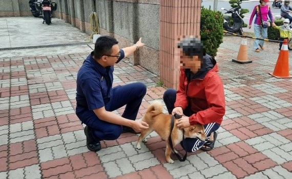 迷路小柴犬 聰明至派出所尋警找主人