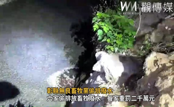 影/六家無良畜牧業偷排廢水 每家重罰二千萬元