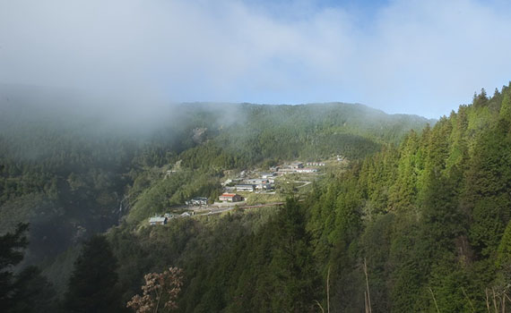 因應微解封 太平山國家森林遊樂區動態總量管制800人