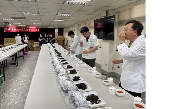 新北市優良蜜香紅茶比賽 270件茶樣參加