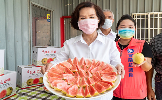 「吃軟不吃硬」紅心芭樂 林姿妙讚聲邀消費者訂購