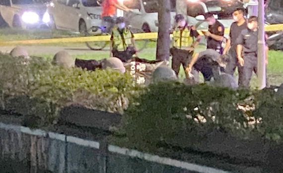 快訊/高雄警消愛河搶救落水民眾 民呼:60秒救援彷彿電影場景