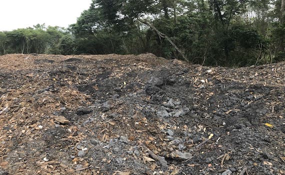 不法集團濫倒事業廢棄物汙染環境 3嫌遭聲押