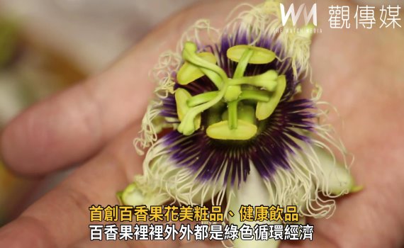 影/大葉大學、台香種苗產學合作首創百香果花美粧品