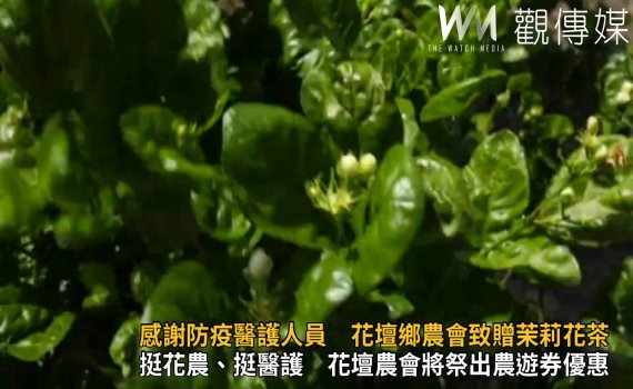 影/感謝防疫醫護人員 花壇鄉農會致贈茉莉花茶