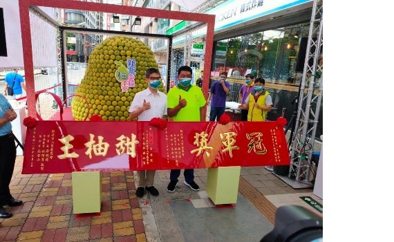 巨型文旦柚塔成板橋新地標 現場展售會人氣買氣旺