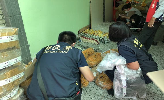 移民署搜索大盤商 查獲國內最大宗非洲豬瘟肉製品3百多公斤