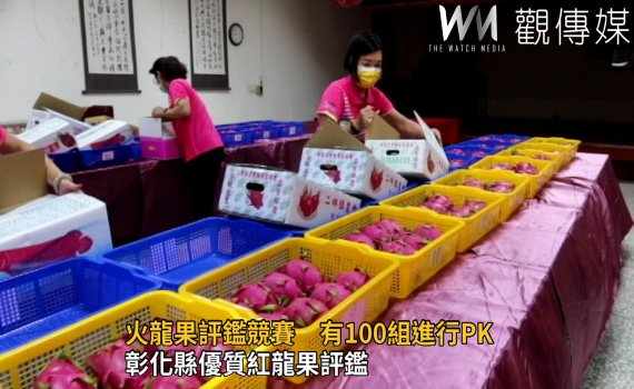 影/優質紅龍果紅白爭霸賽 青農陳致嘉、周弘恩奪冠