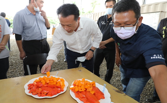 青農組團隊科技種木瓜 悠沃農場將成農業典範