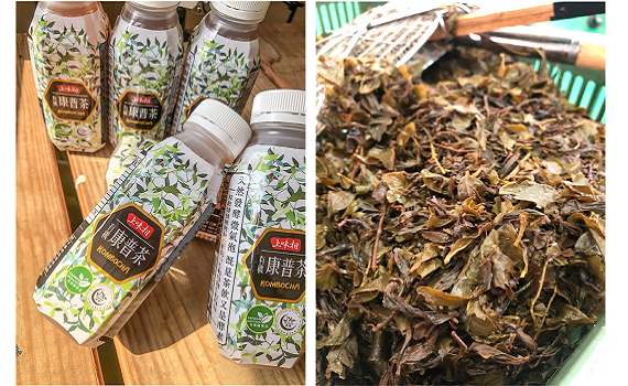 微氣泡感康普茶!果寶生技:兩法寶讓口感層次更勝一籌