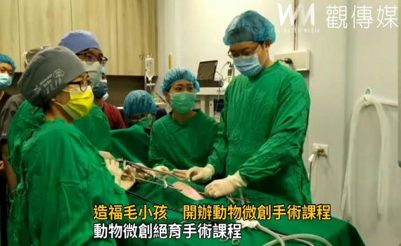 影/造福毛小孩 秀傳微創手術訓練中心跨界與動物醫院合作開設動物微創手術課程
