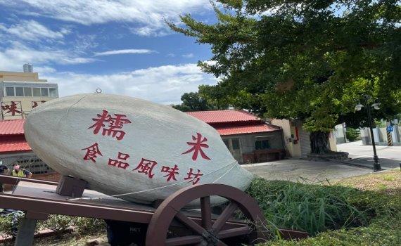 生人勿近 埔鹽糯米風味坊公園 籃球般大虎頭蜂窩高掛樹上