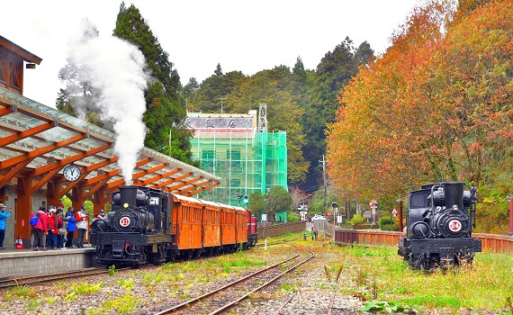 林鐵推賞楓主題列車  高山鐵道楓紅之美盡在眼前 